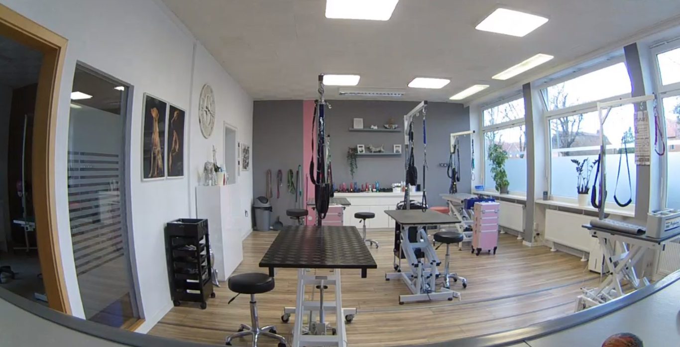 Hundesalon Uthlede Hundesalon mit Behandlungsstühlen, Geräten und hellem, einladendem Design.