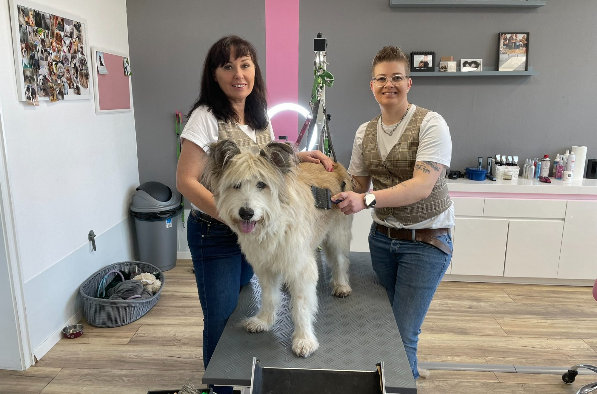 Hundefriseur Hundefriseur-Hundesalon-Hundepflege