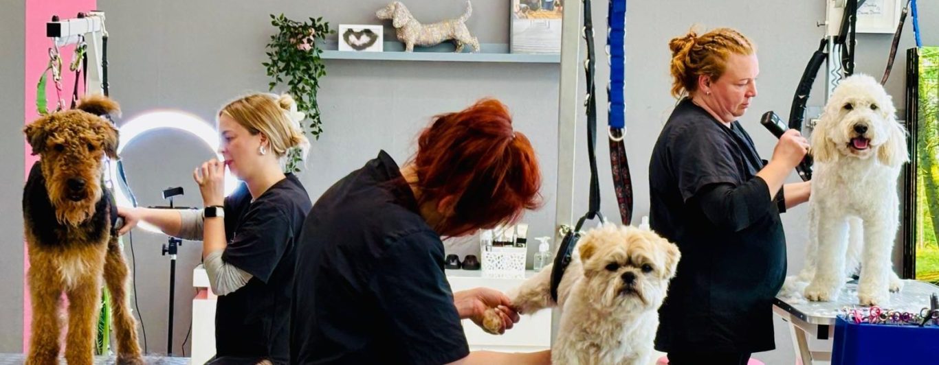 Hundepflege Drei Hundefriseure arbeiten an verschiedenen Hunden in einem modernen Salon.
