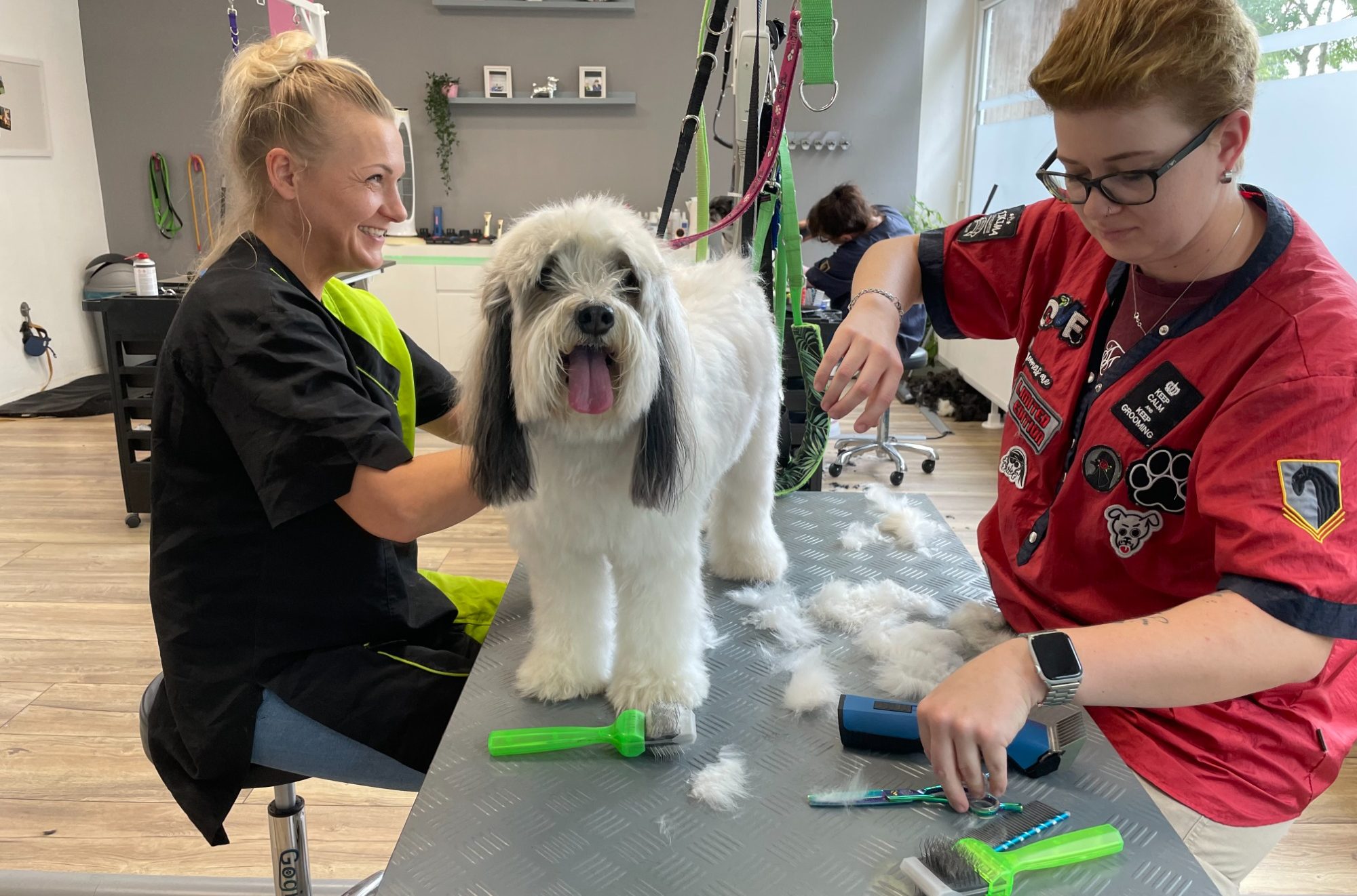 Hundefriseur Hundefriseur Hagen im Bremischen